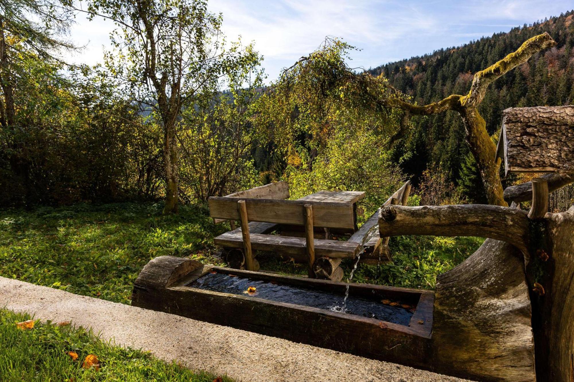 Forsthaus Apartments - Ski + Bike & Hike Klaffer am Hochficht Exterior photo