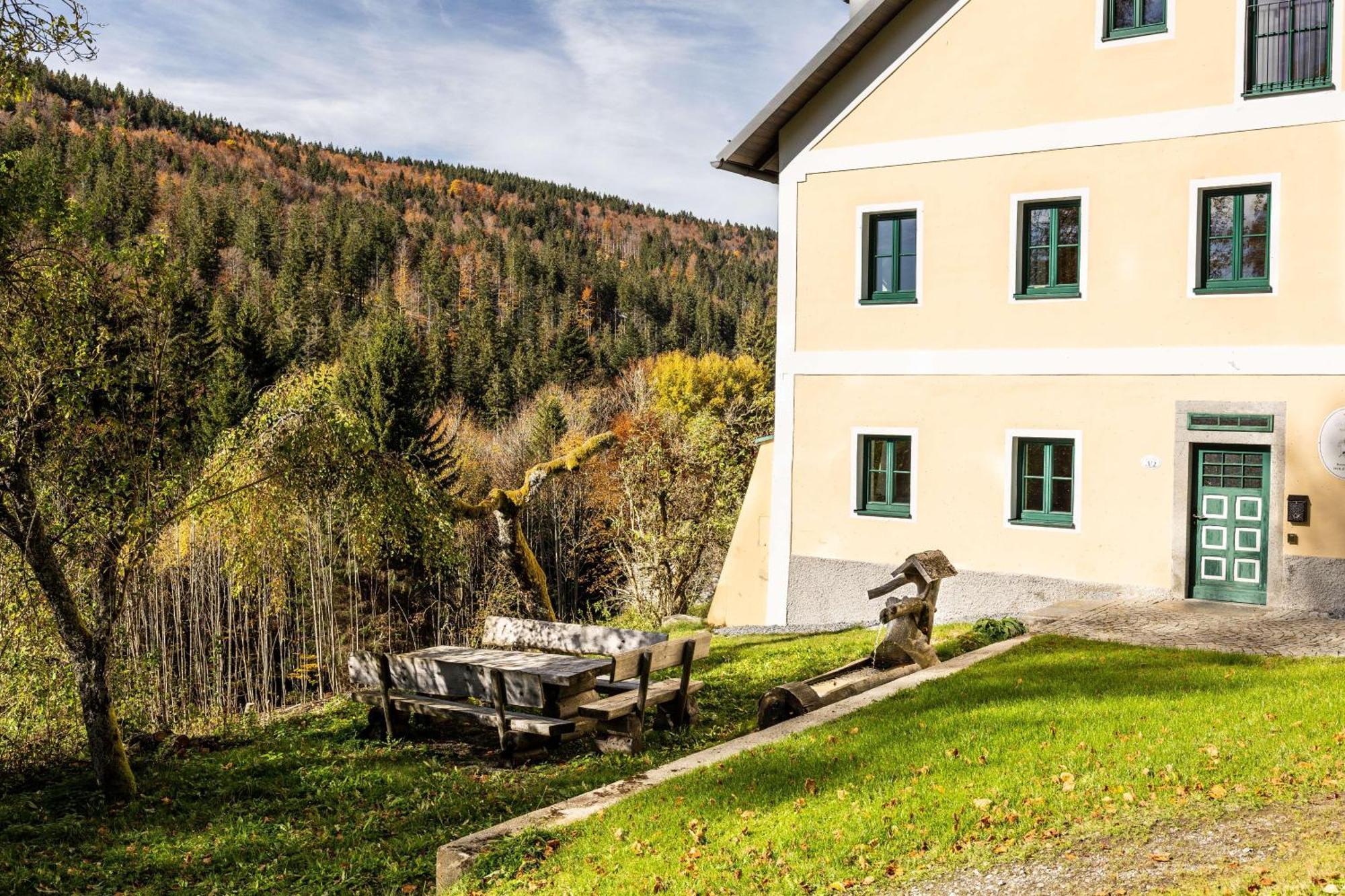 Forsthaus Apartments - Ski + Bike & Hike Klaffer am Hochficht Exterior photo
